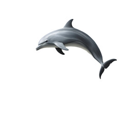 Animal, Fish, Dolphin, River, Water, Nature, Amazon, Forest, Art, Image, with Transparent Background PNG, for Stickers, T-Shirt Print, Cap, Mug, Flip Flops, Mousepad, Transparent PNG