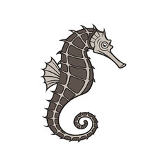 Threatened female lined seahorse hippocampus erectus vector illustration