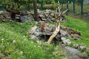 Impressionen aus eienm Tierpark