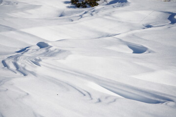 Obraz premium drawings in the snow