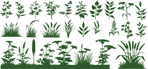 set of different types of green grass and bushes