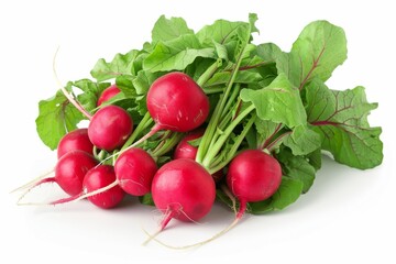 Fresh red radishes with green leaves