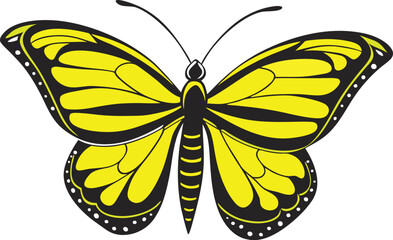 butterfly isolated on white background