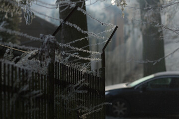 Barbed wire at winter stretches along a fence, symbolizing security, boundaries, and restriction. Protection while reflecting its utilitarian and industrial purpose in urban and rural environments.
