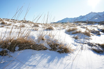 winter in the mountains