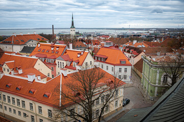 Obraz premium Autumn in Tallinn