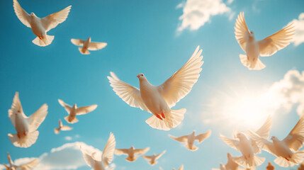 Obraz premium White Doves in Flight, Sunny Sky