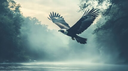 Fototapeta premium Eagle Gliding Over Misty Jungle Rivers