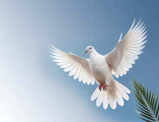 A white dove is a symbol of peace in the bright rays of the sun against a blue sky.
