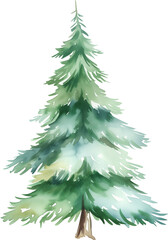 Obraz premium pine tree watercolor painting isolated on transparent background.