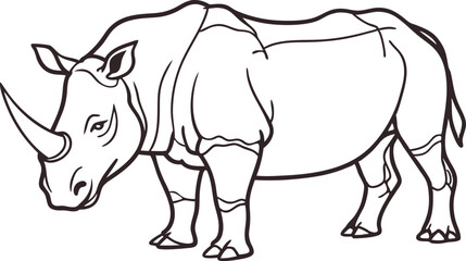Rhino hand drawn illustrations