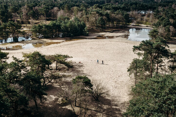 Aerial view of a serene sandy landscape in The Netherlands with scattered trees, water ponds, and two people walking with a dog in a tranquil natural environment. Sand dunes. Herperduin.