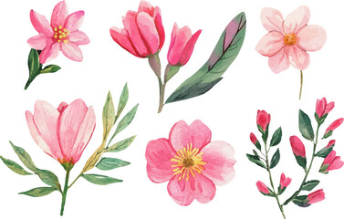 pattern with pink tulips