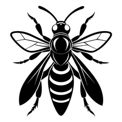 wasp silhouette vector illustration