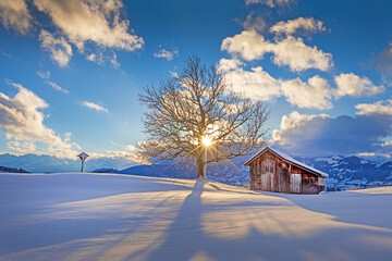 Winter - Allg&auml;u - Baum - Stadel - Schnee - Sonne - Weihnachten