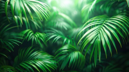Lush green palm leaves create a vibrant, tropical atmosphere, suitable for nature-themed projects, gardening articles, or wellness promotions, The soft focus enhances tranquility and relaxation,