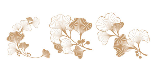 gold ginkgo plant background for documents