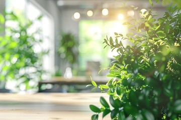 Sunlight streams through a bright office, illuminating lush green plants on a wooden table.