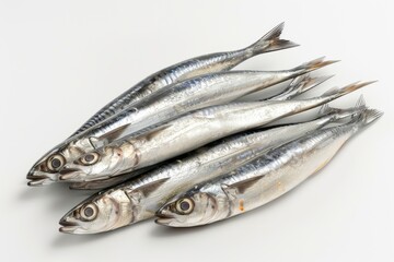 Fresh mackerel on white background
