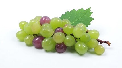 Isolated fresh cluster of grapes with a green stem isolated on solid white background.
