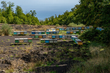 Beehives on the slopes of Mount Etna, Sicily.