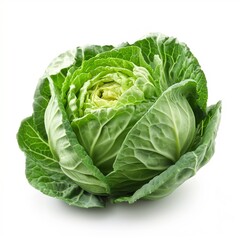 Fototapeta premium Fresh tasty cabbage with green leaves on white background, vegetables