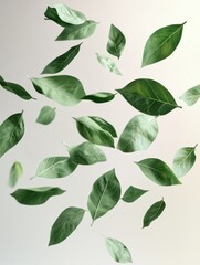 Naklejka premium Flying fresh green leaves, cut out