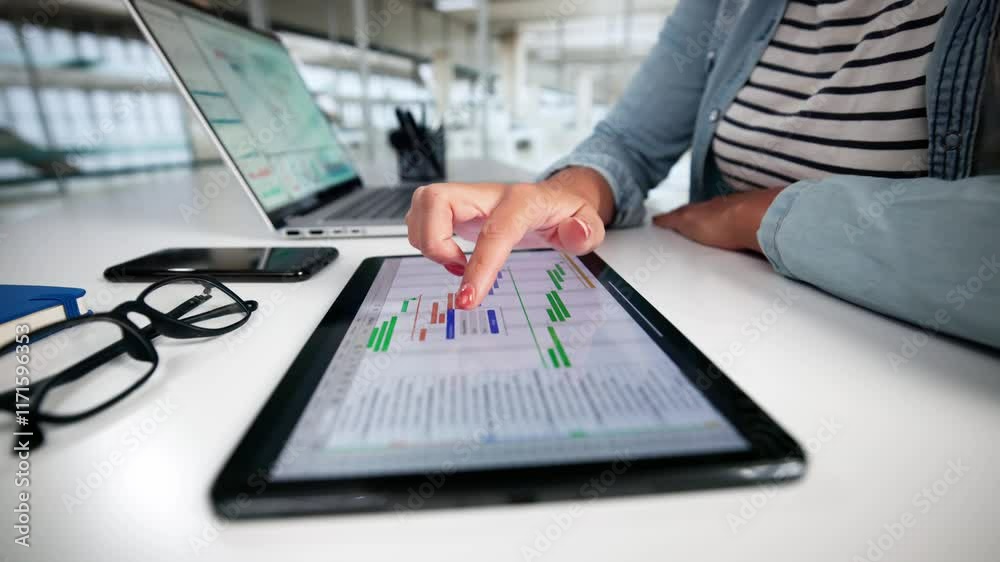 Poster gantt gantt software project