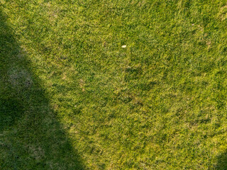 A close-up view of lush green grass with shadows cast on it, creating a serene and natural...
