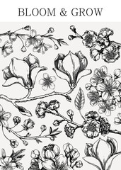 Spring greeting card. Blooming branches sketches. Hand-drawn botanical illustration. Floral vector design. NOT AI genereted