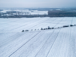 Aerial view of snow-covered fields and trees during winter