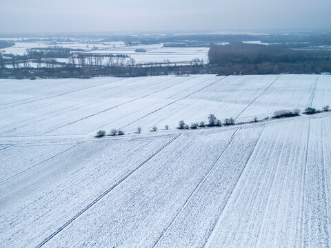 Aerial view of snow-covered fields and trees during winter