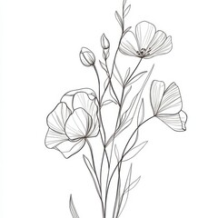 Obraz premium Botanical arts. Hand drawn continuous line drawing of herbs, abstract flower, floral, ginkgo, rose, tulip, bouquet of olives. Vector illustration.