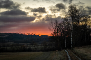 Red sunrise with windfall forest in winter morning near Batelov