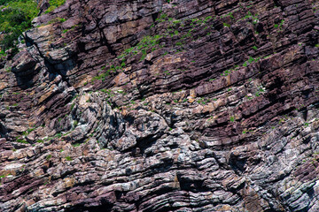seaside cliff of sedimentary rock
