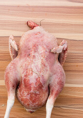 Overhead view of plucked raw whole organic chickens on a wood table, top view of large raw organic chicken on a wood background