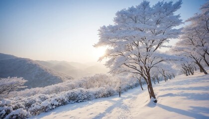 Obraz premium Winter landscape with trees and snow