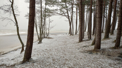 Ujście rzeki Piaśnicy do Bałtyku. Dębki