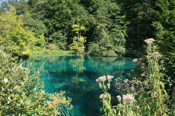 Landscape in Plitvicа Lakes National Park, Croatia