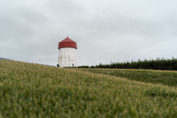 red and white lighthouse in a field