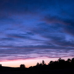 sunset in the field