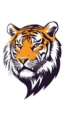 Isolated Tiger on White Background for Wildlife and Nature Related Projects