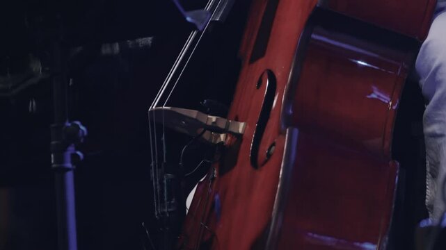 Close-up of a contrabass player performing during a night concert, slow motion isolated cinematic shot