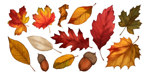 Colorful autumn leaves and acorns arranged in festive overlay, showcasing vibrant red, orange, yellow, and brown hues, symbolizing beauty of fall season