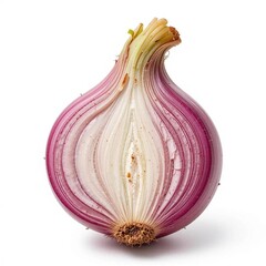 onion isolated on white background