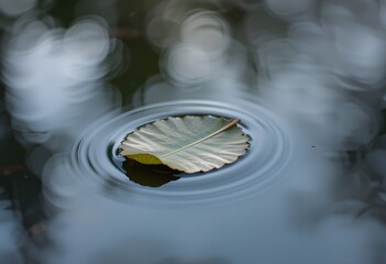 close up of drops on leaf