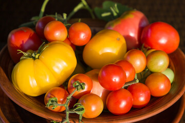 Red and yellow tomatoes in a clay bowl close up. Selective focus.