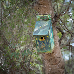 A Wooden Birdhouse on a Tree Trunk