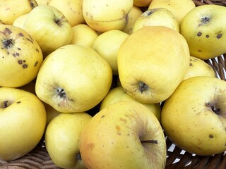 Close-up of fresh yellow apples with natural blemishes in a basket