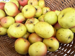 Fresh harvest of organic golden apples in a woven basket